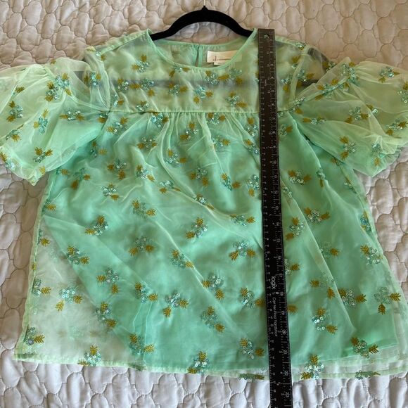 Sz 2P Anthropologie Mint Green Floral Embroidered Sheer Blouse - Picture 4 of 7